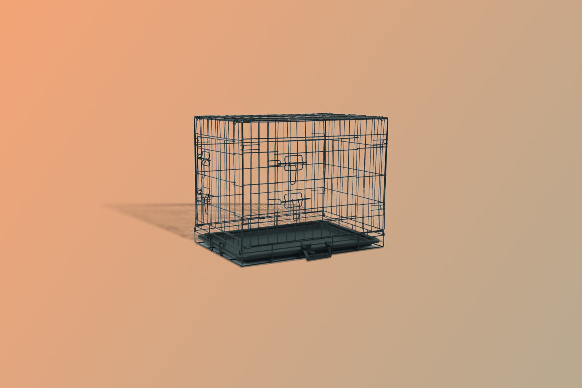 Best Dog Crates