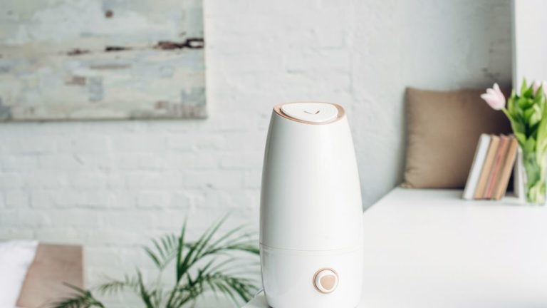 How to Clean a Humidifier